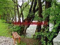 cazare-pensiuni-vile-hoteluri-